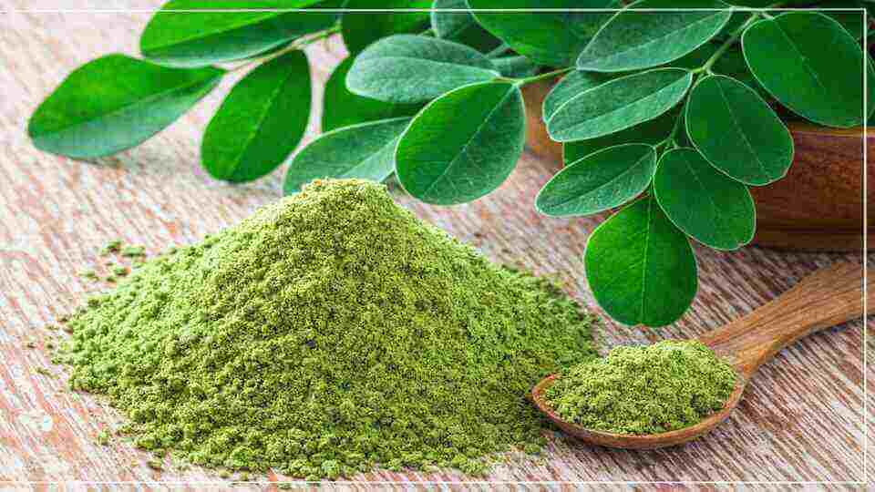 মরিনগা পাউডার বা সজনে পাতার গুঁড়ো খাওয়ার সঠিক নিয়ম ও সময়: জানুন সেরা ৩টি পদ্ধতি