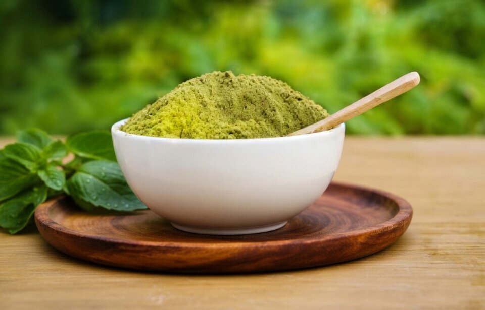 বাজারে সজনে পাতার গুঁড়োর নামে কি ঘাসের গুঁড়ো খাচ্ছেন? আসল মরিনগা চেনার ৫ উপায়